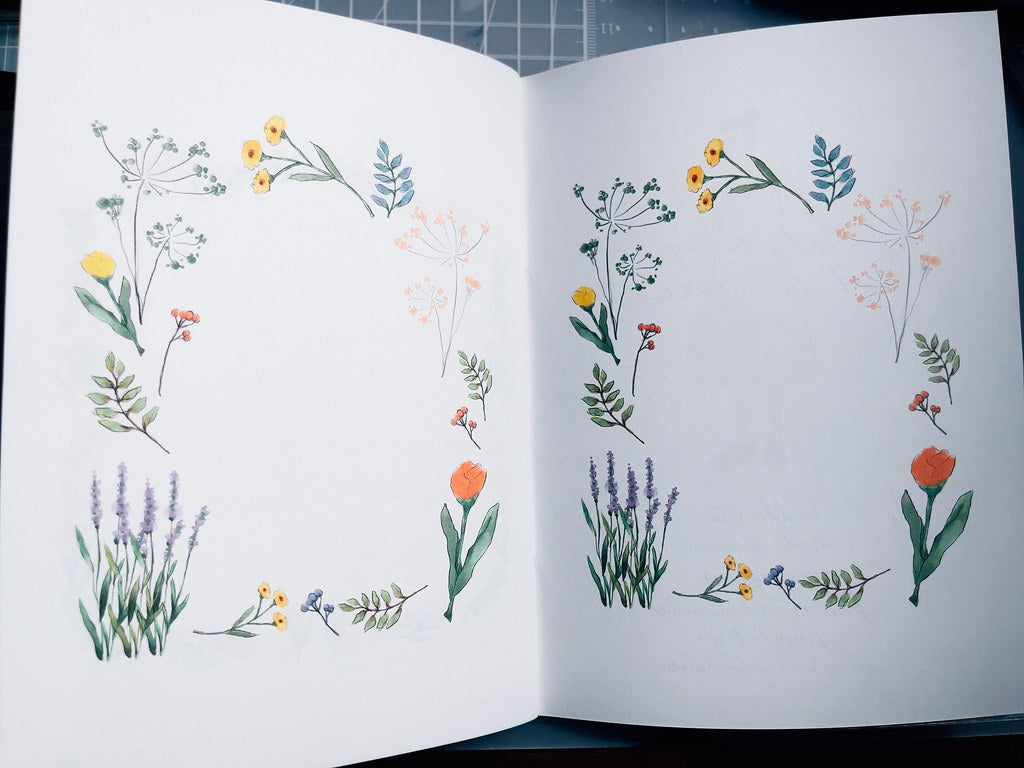 Expense Tracker | Garden collection