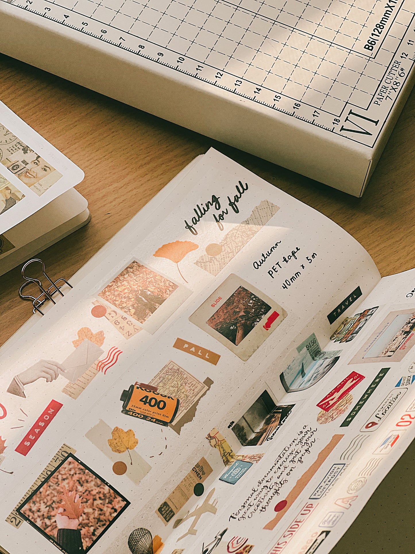 PET Tape |  Autumn (4cm)