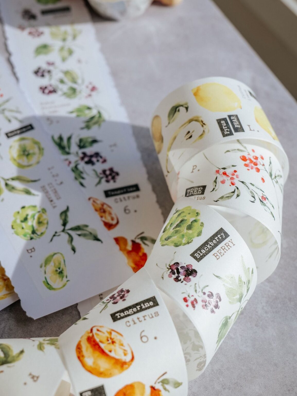 (PRE ORDER) Washi Tape | Scent.fruity (5cm)