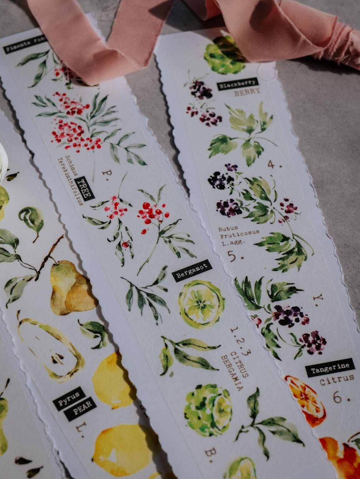(PRE ORDER) Washi Tape | Scent.fruity (5cm)