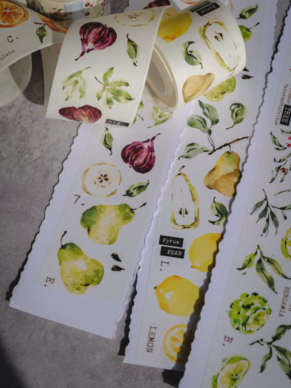 (PRE ORDER) Washi Tape | Scent.fruity (5cm)