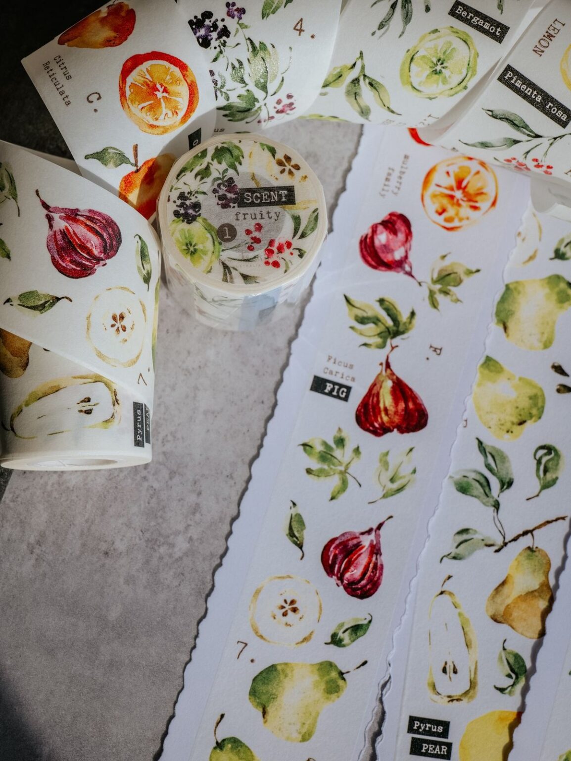 (PRE ORDER) Washi Tape | Scent.fruity (5cm)
