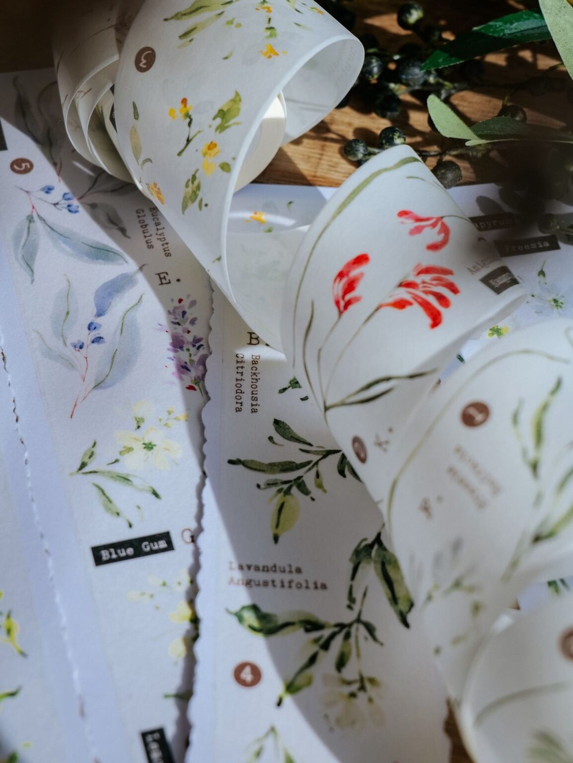 (PRE ORDER) Washi Tape | Scent.floral (5cm)