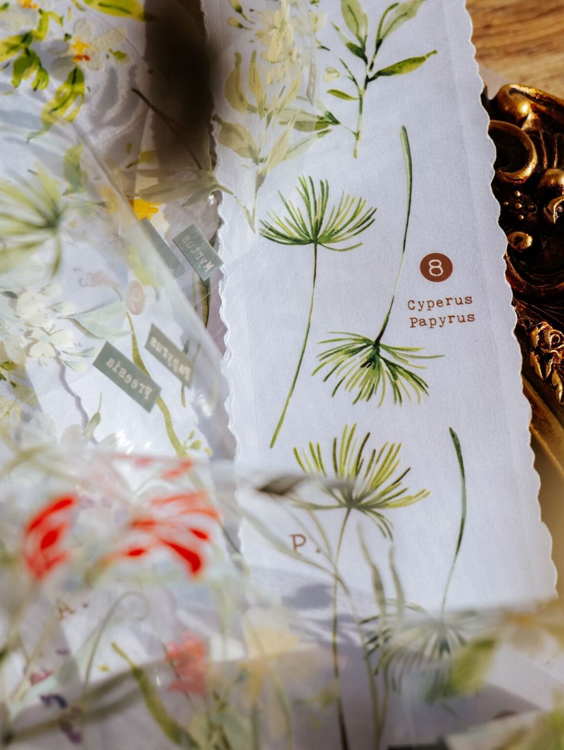 (PRE ORDER) Glossy PET Tape | Scent.floral (5cm)