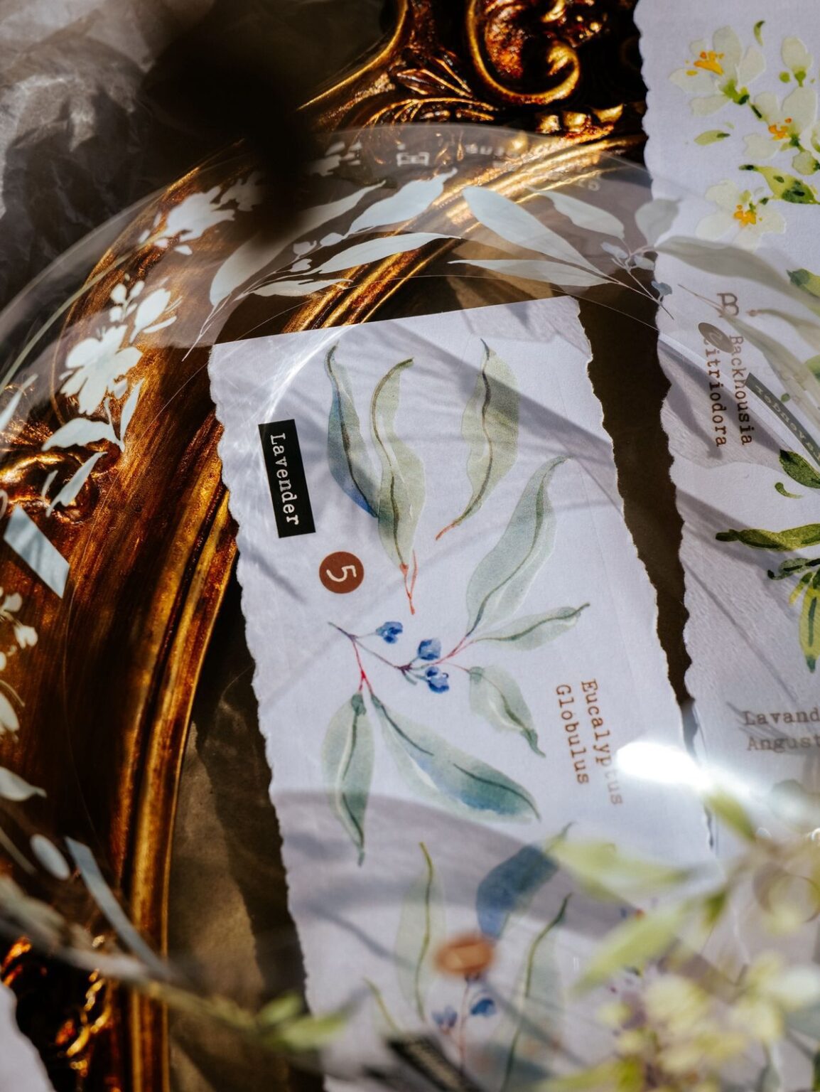 (PRE ORDER) Glossy PET Tape | Scent.floral (5cm)
