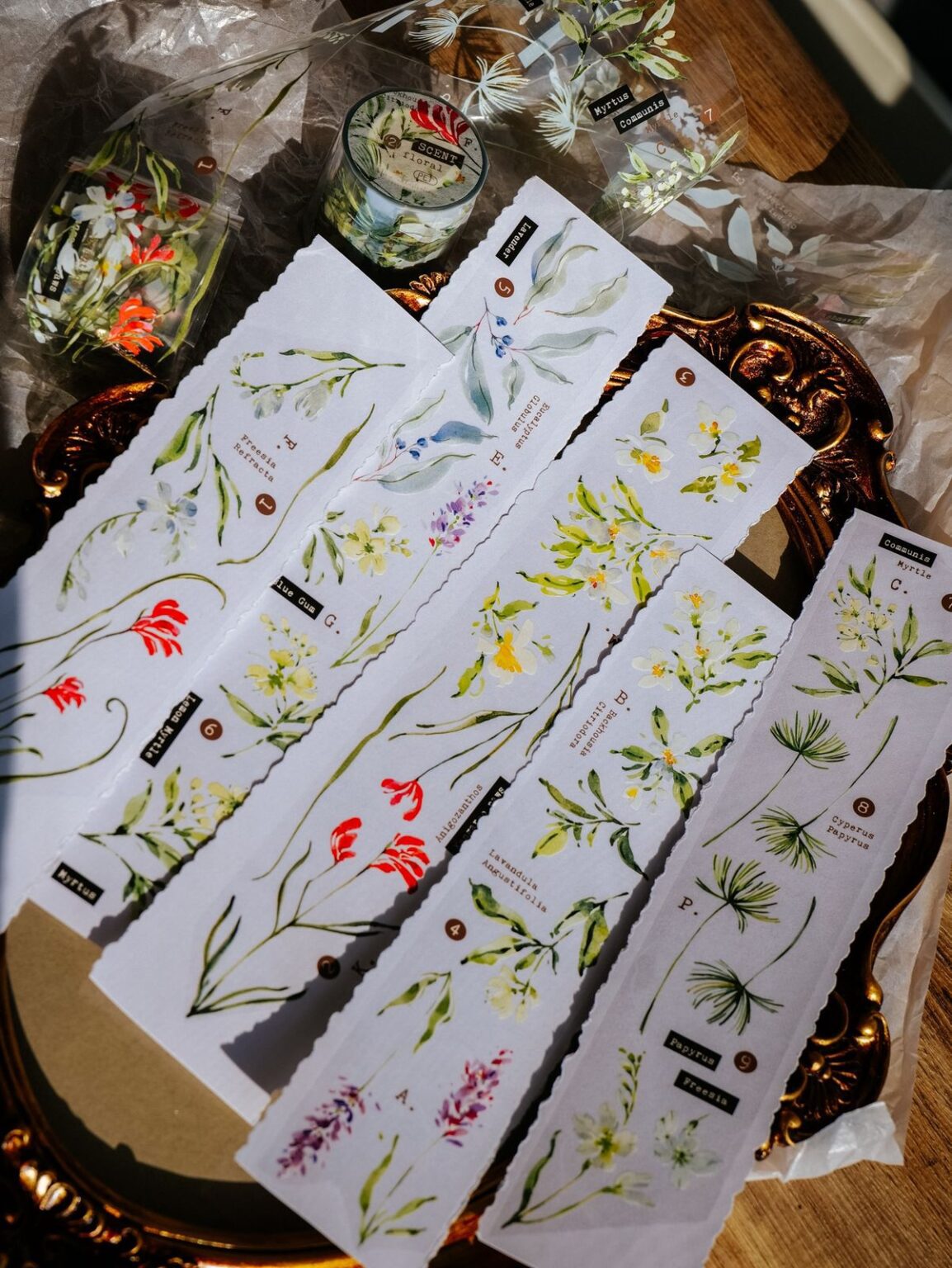 (PRE ORDER) Glossy PET Tape | Scent.floral (5cm)