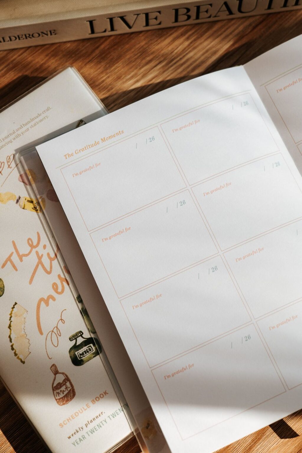 2026 Planner | The Tidy Mess (Weekly)