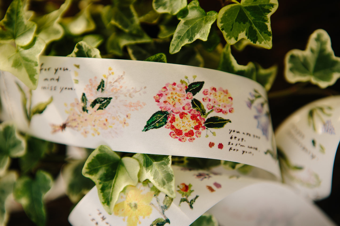 Washi Tape | Message (4cm)