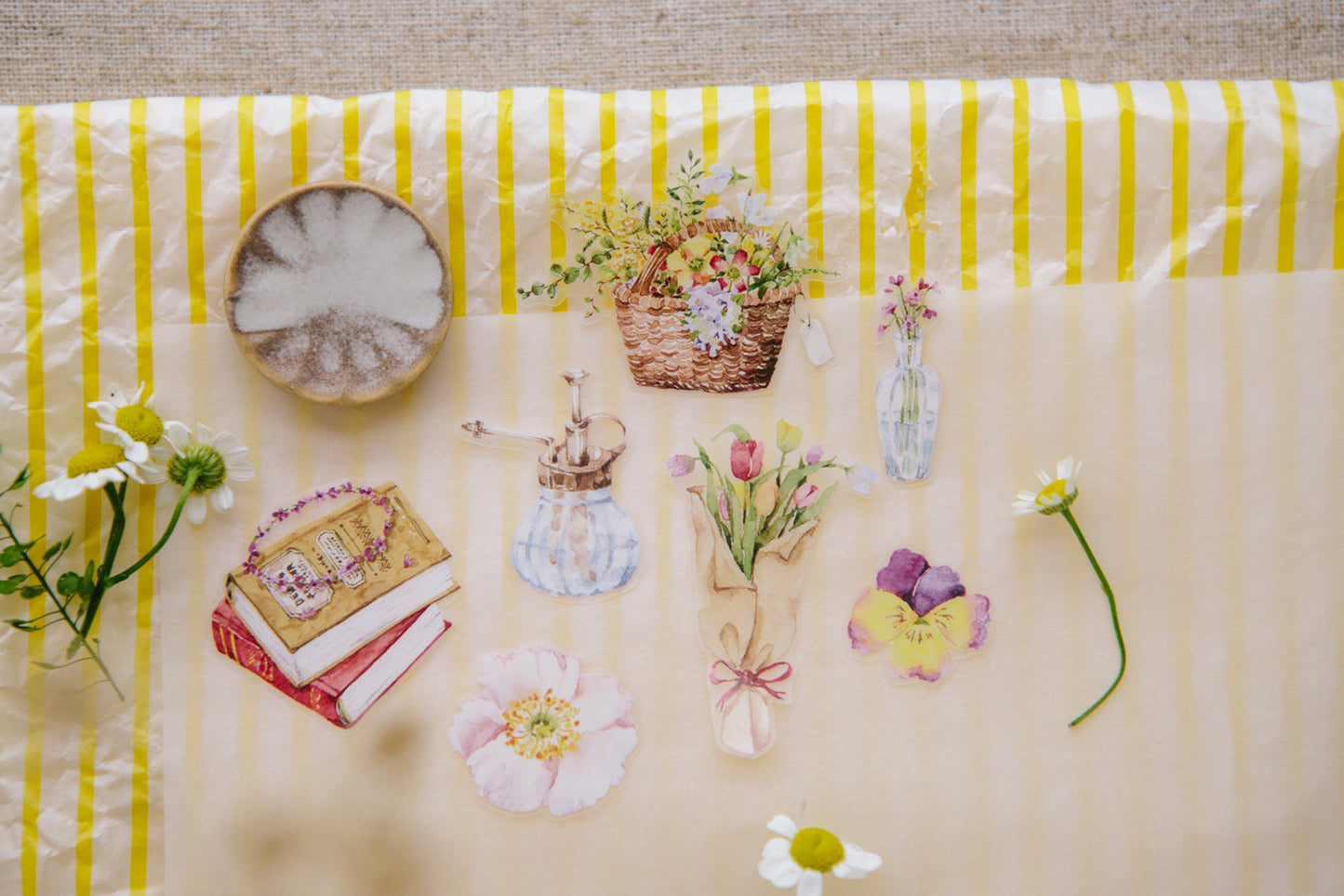 PET Tape | In the Foyer (4.4cm)
