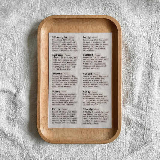 Transfer Stickers | Dictionary Words Vol.2
