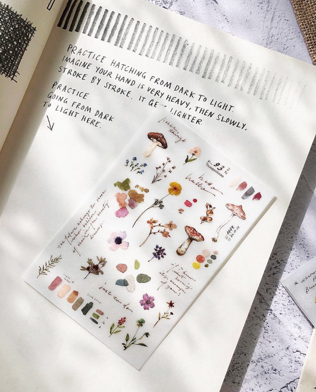 Transfer Stickers | Garden