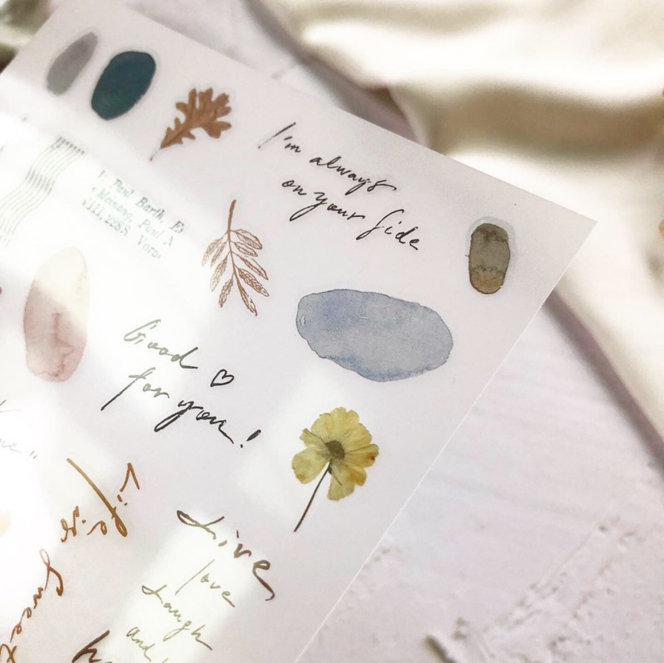 Transfer Stickers | Color Block