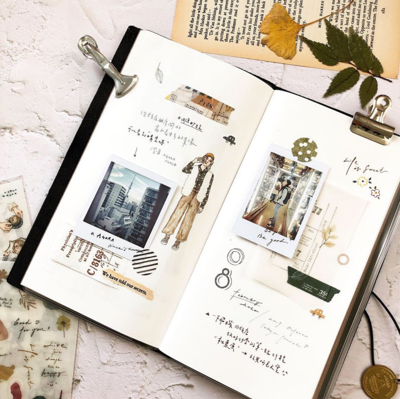 Transfer Stickers | Essay