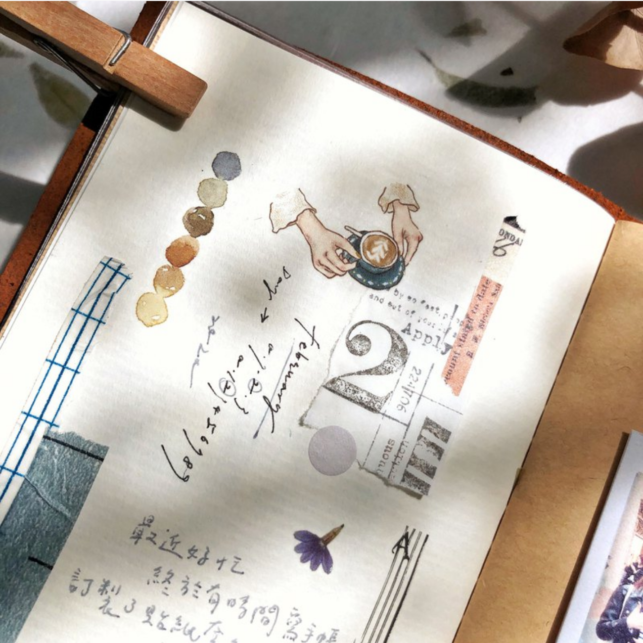 Transfer Stickers | Essay