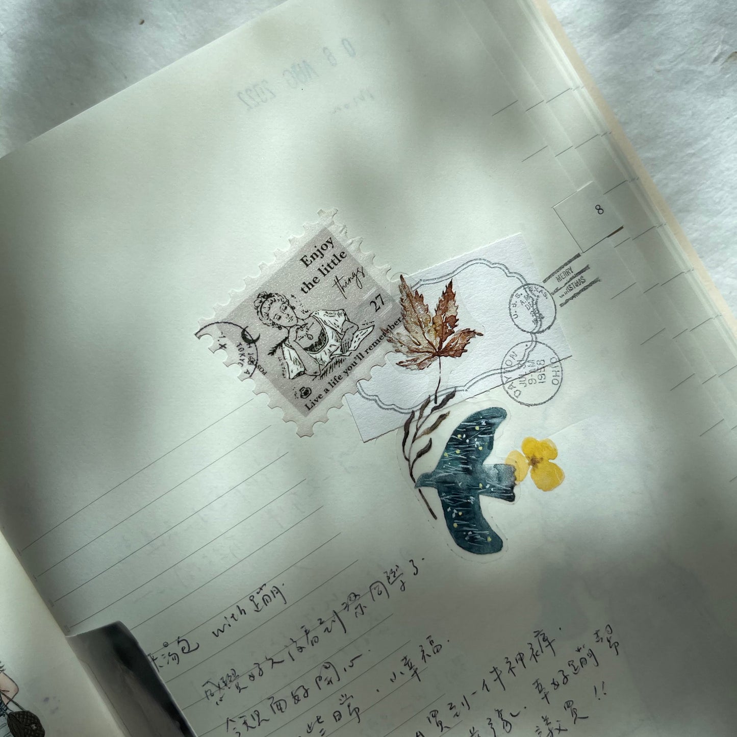 Transfer Stickers | Bird Island