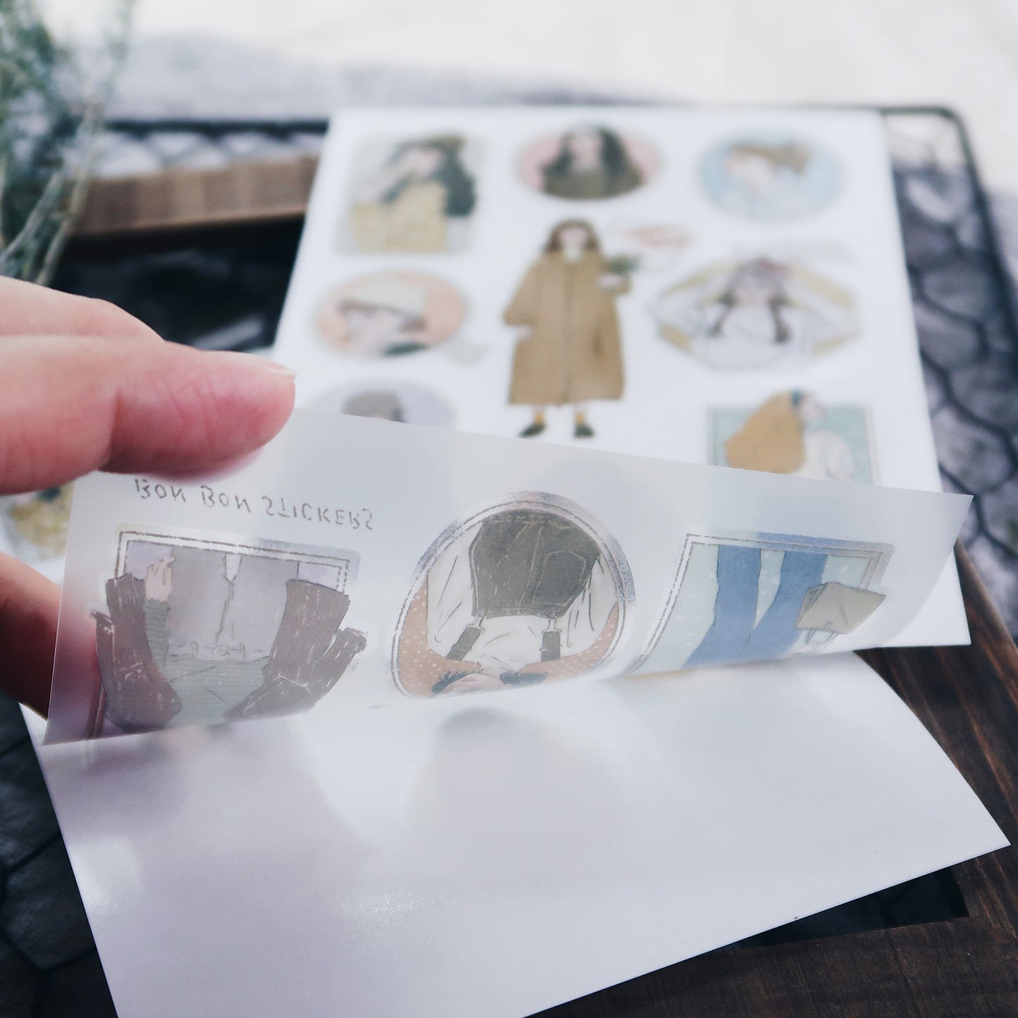 Transfer Stickers | frame girl