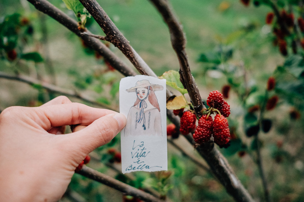 Washi Tape | Life is Beautiful (4cm)