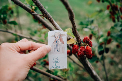 Washi Tape | Life is Beautiful (4cm)