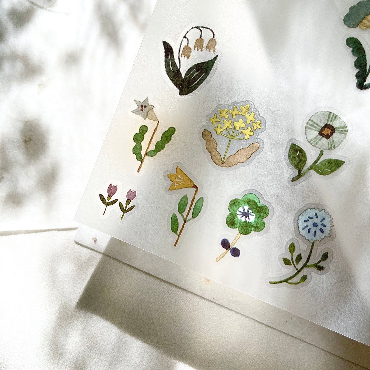 Transfer Stickers | Twilight