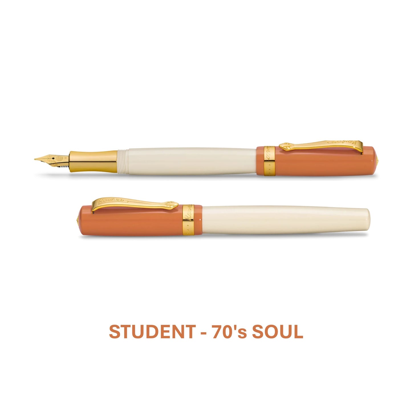 Fountain Pen | Student