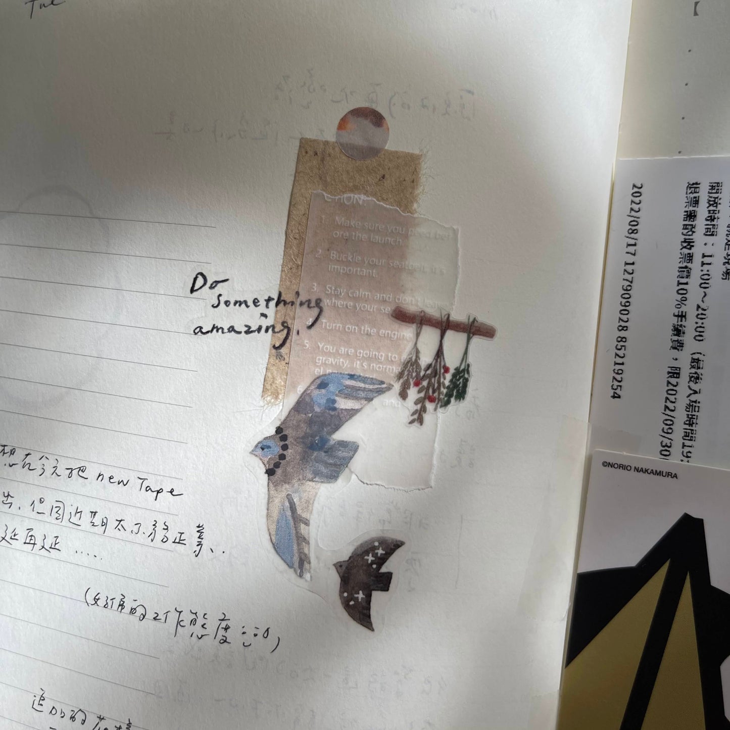 PET Tape | Bird Island (3cm)