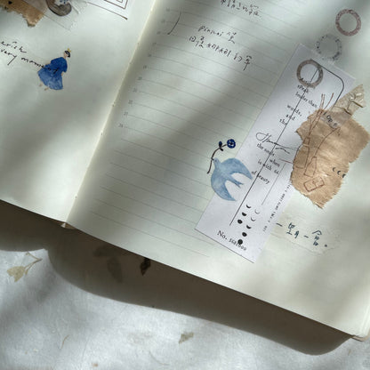 Transfer Stickers | Bird Island