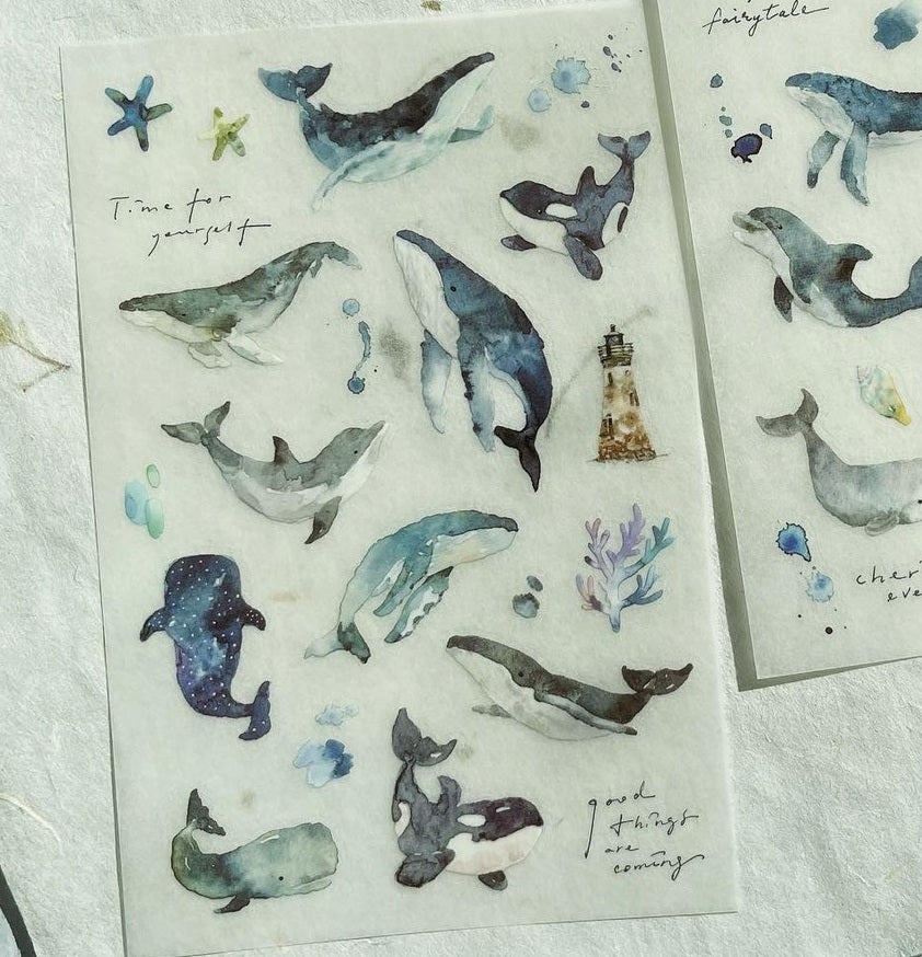Transfer Stickers | whale