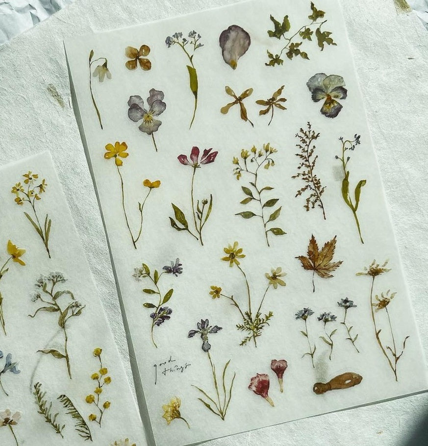 Transfer Stickers | Embossing