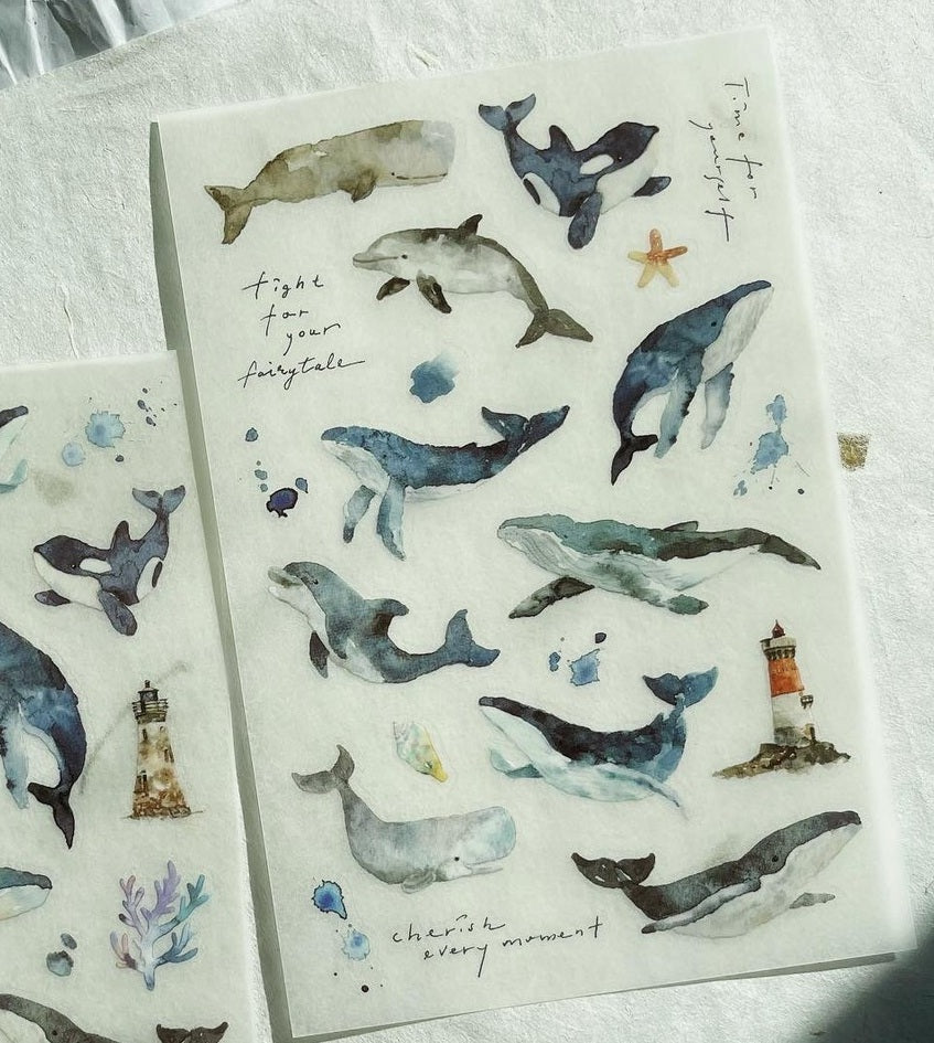 Transfer Stickers | whale