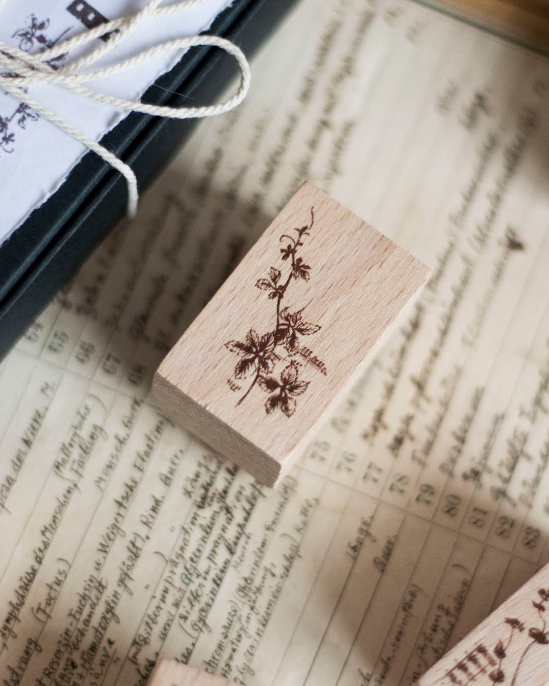Loi Design Stamps | Life Collection (5 designs)