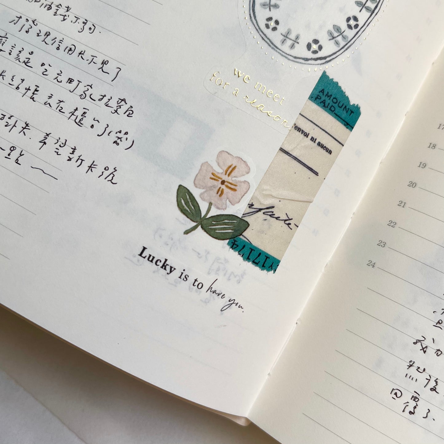 Transfer Stickers | Twilight