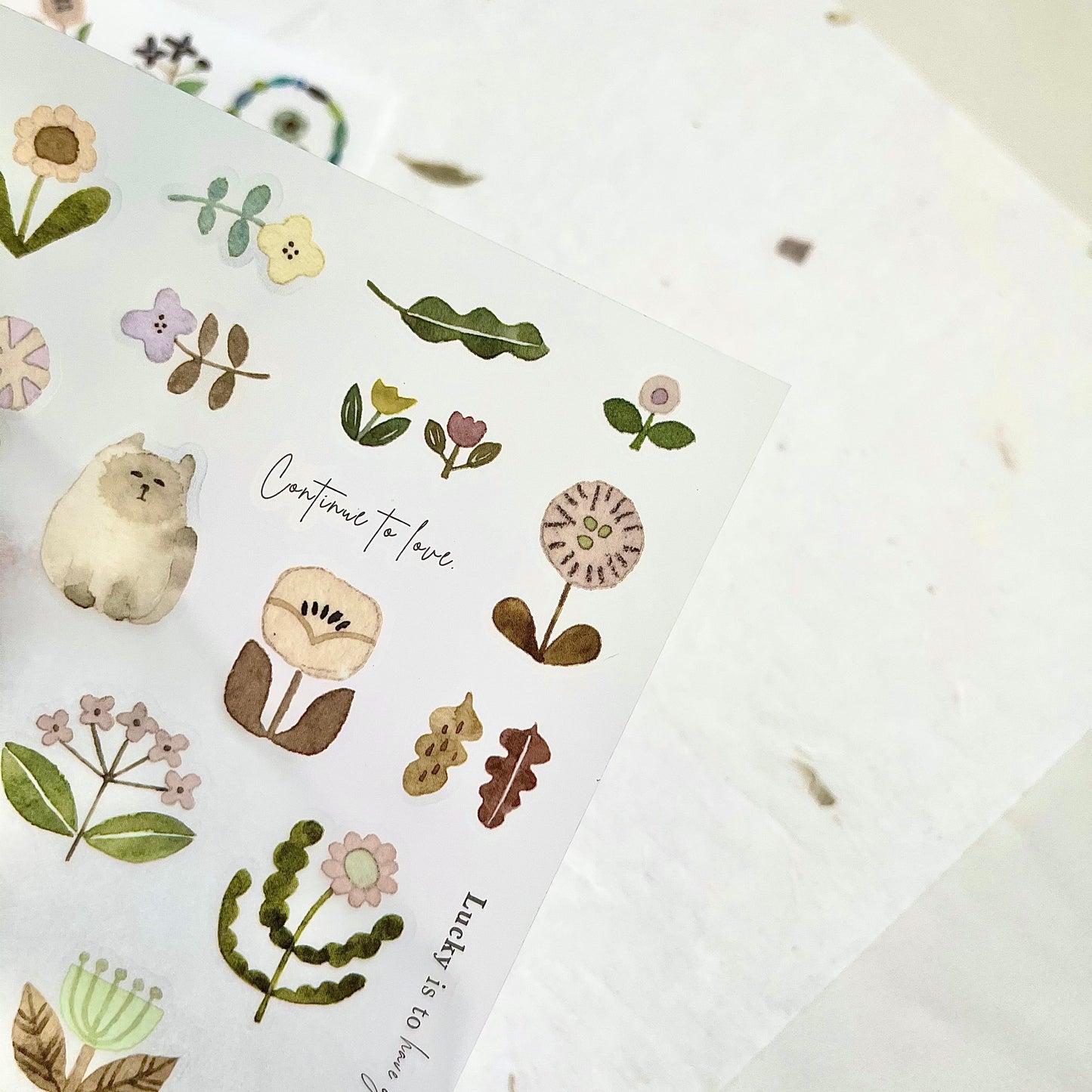 Transfer Stickers | Twilight