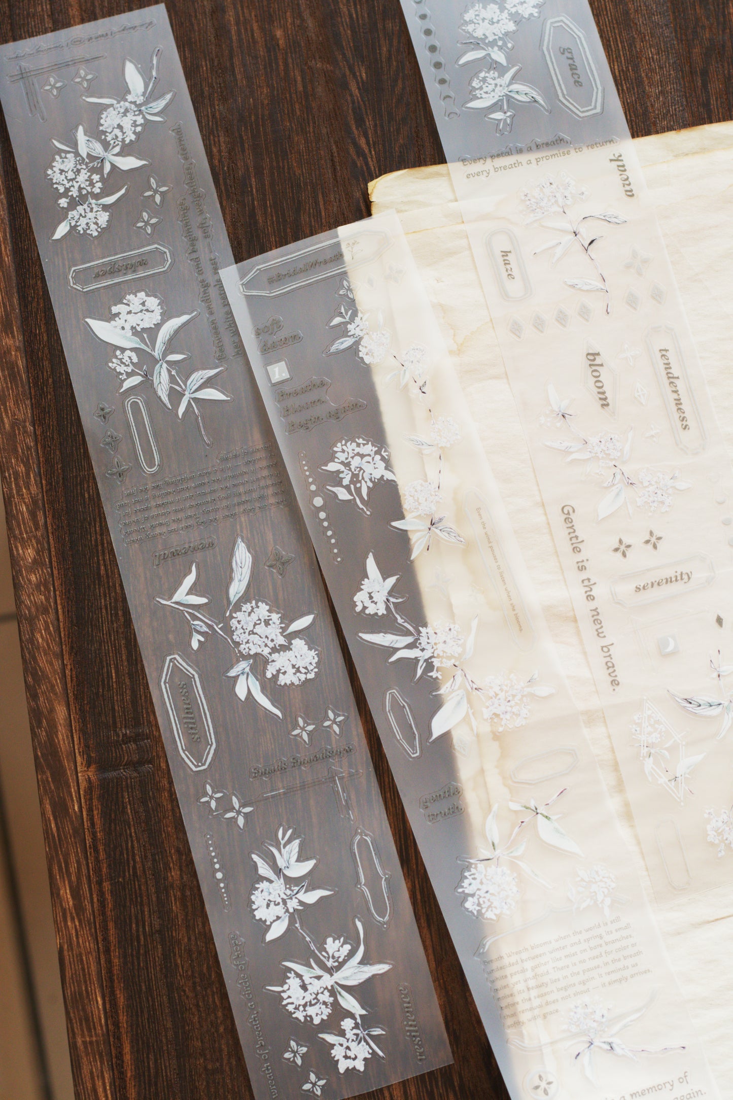 Die-cut Matte PET Tape | #BridalWreath / Thunberg Spirea (5cm)