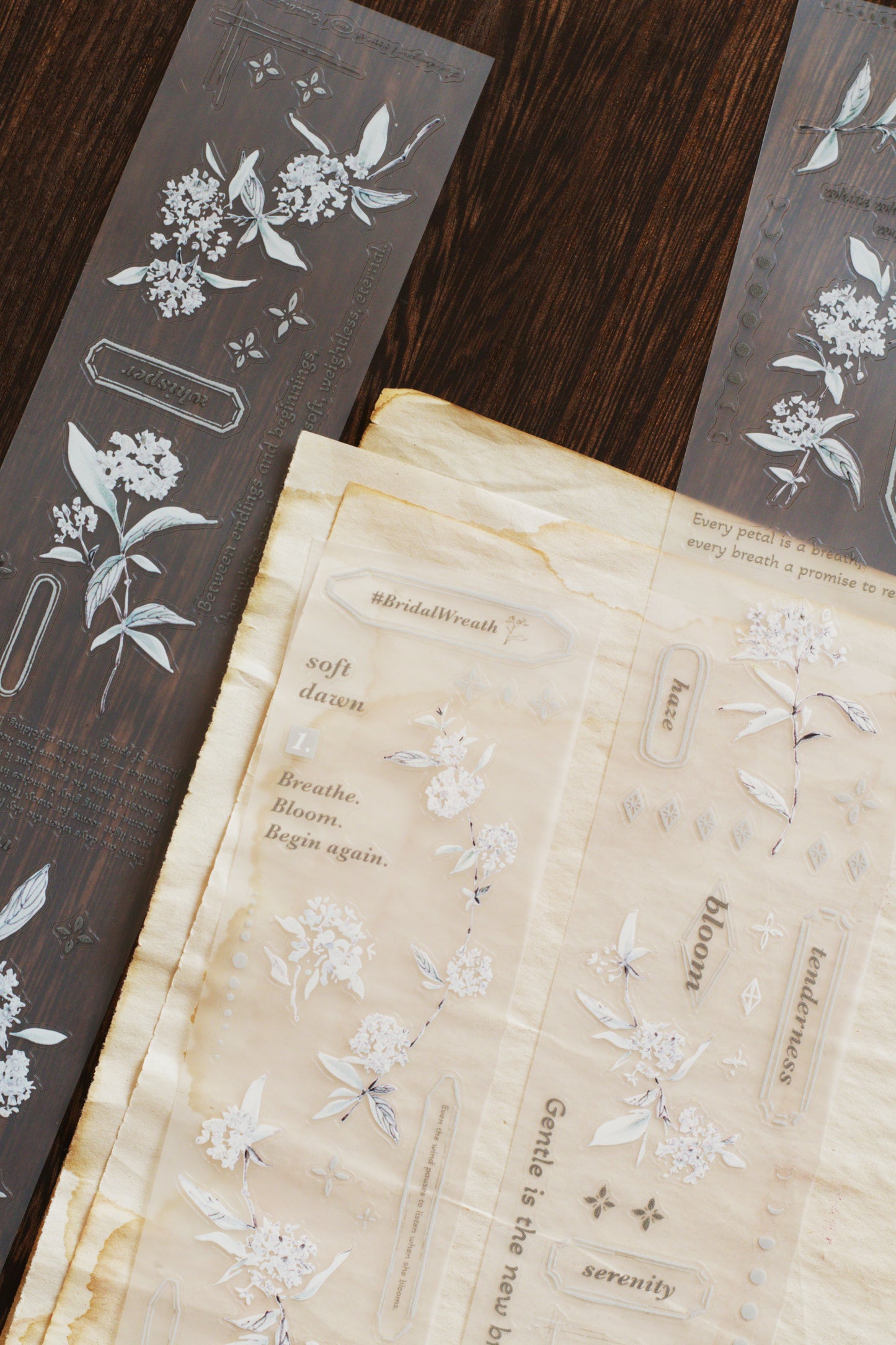 Die-cut Matte PET Tape | #BridalWreath / Thunberg Spirea (5cm)