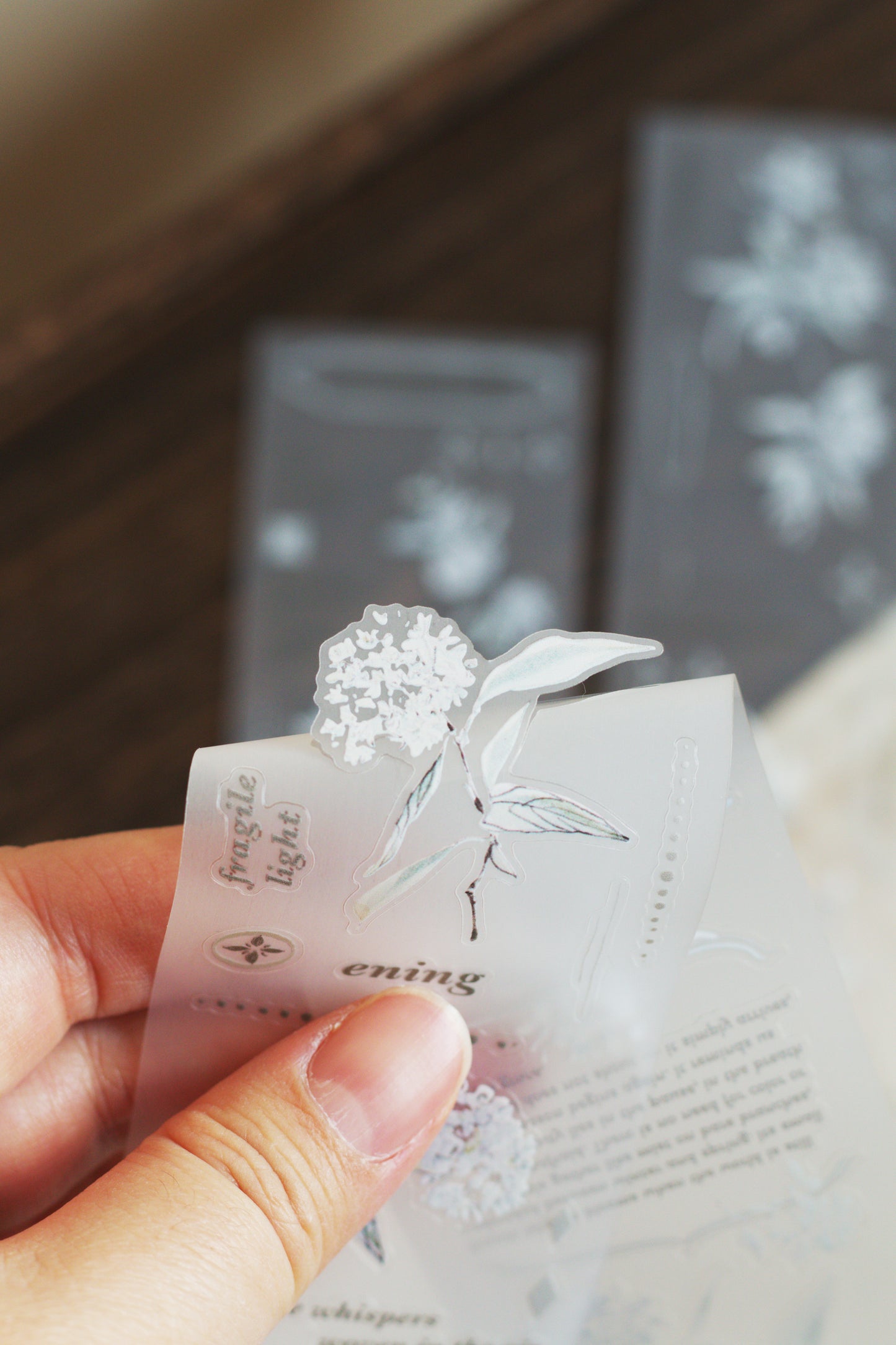 Die-cut Matte PET Tape | #BridalWreath / Thunberg Spirea (5cm)