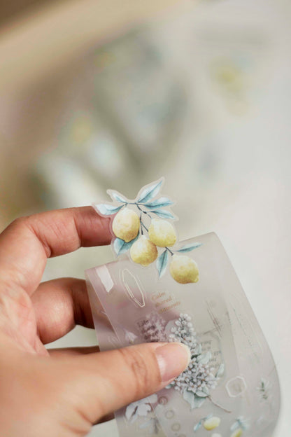 Die-cut Matte PET Tape | Journey in Golden Light (5cm)