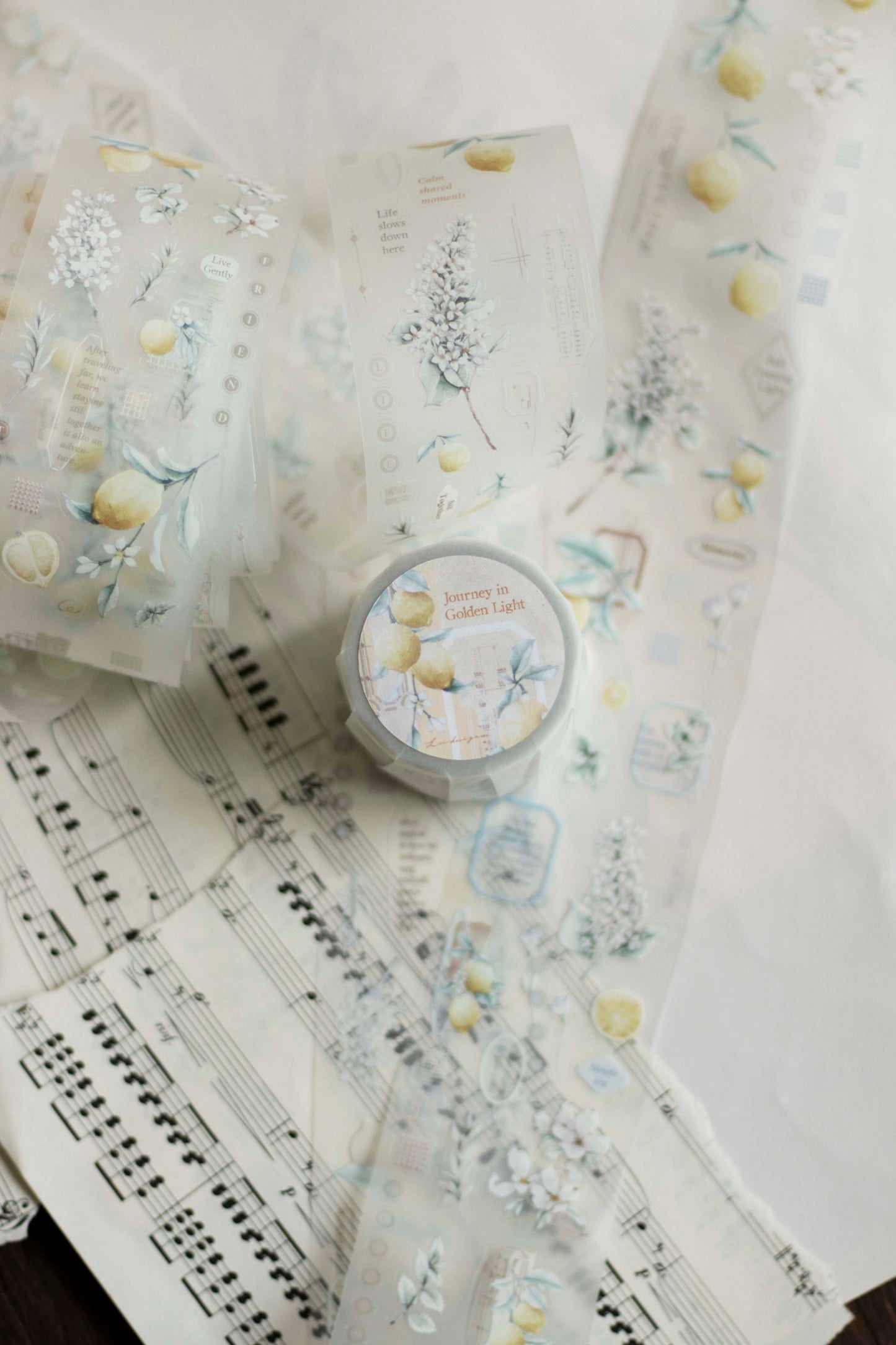 Die-cut Matte PET Tape | Journey in Golden Light (5cm)