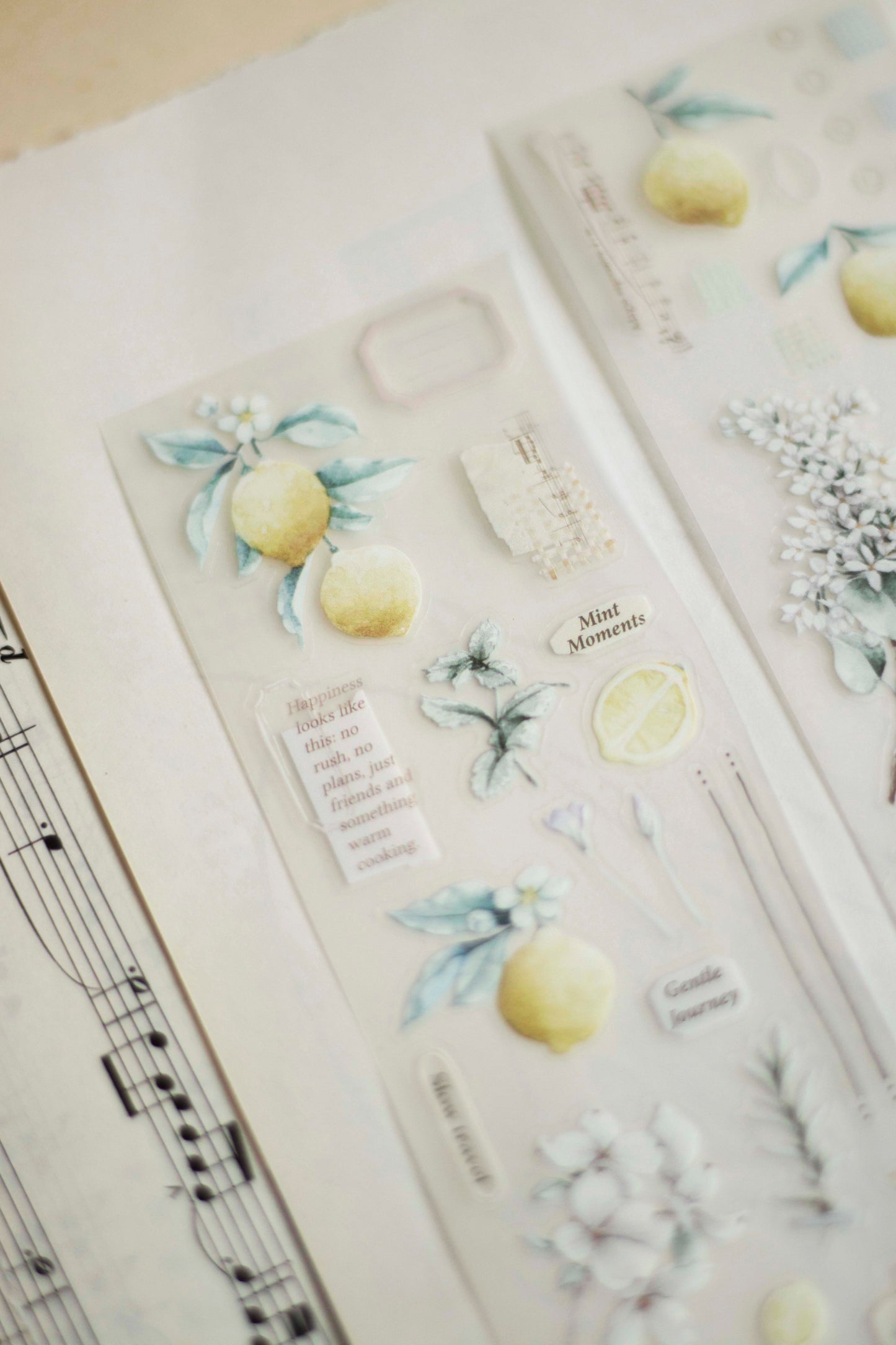 Die-cut Matte PET Tape | Journey in Golden Light (5cm)