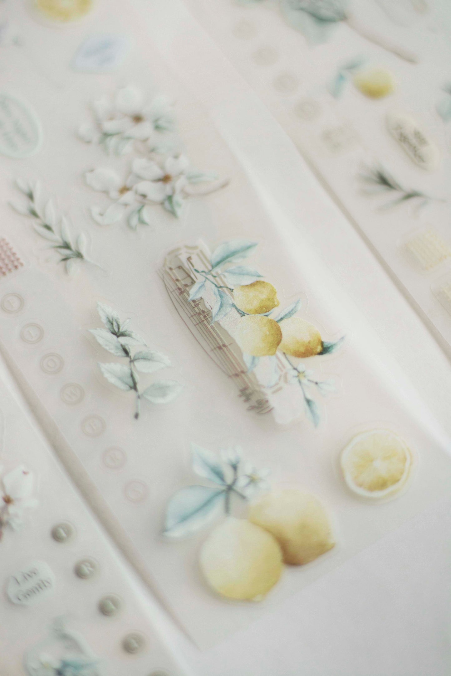 Die-cut Matte PET Tape | Journey in Golden Light (5cm)