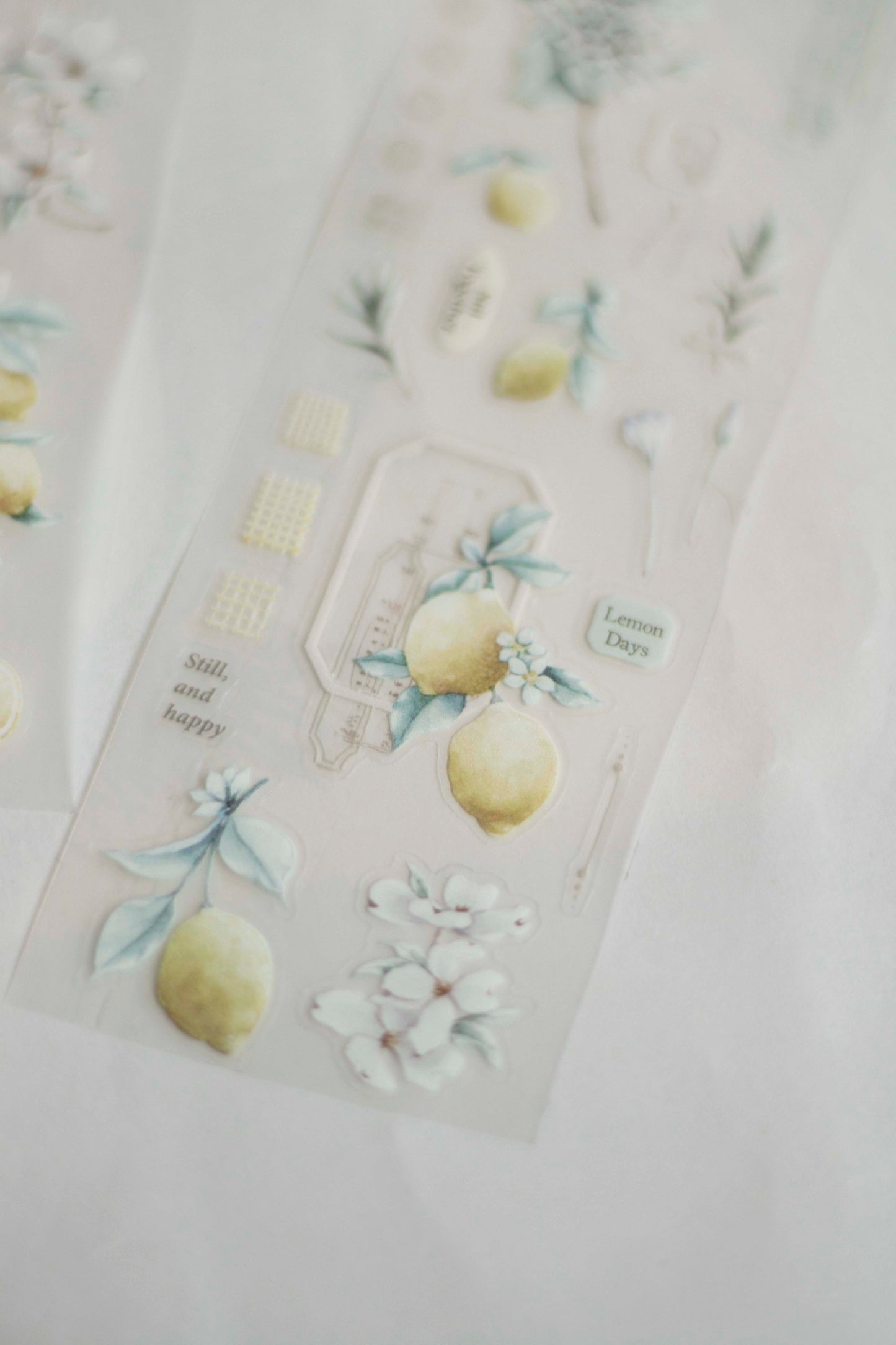 Die-cut Matte PET Tape | Journey in Golden Light (5cm)