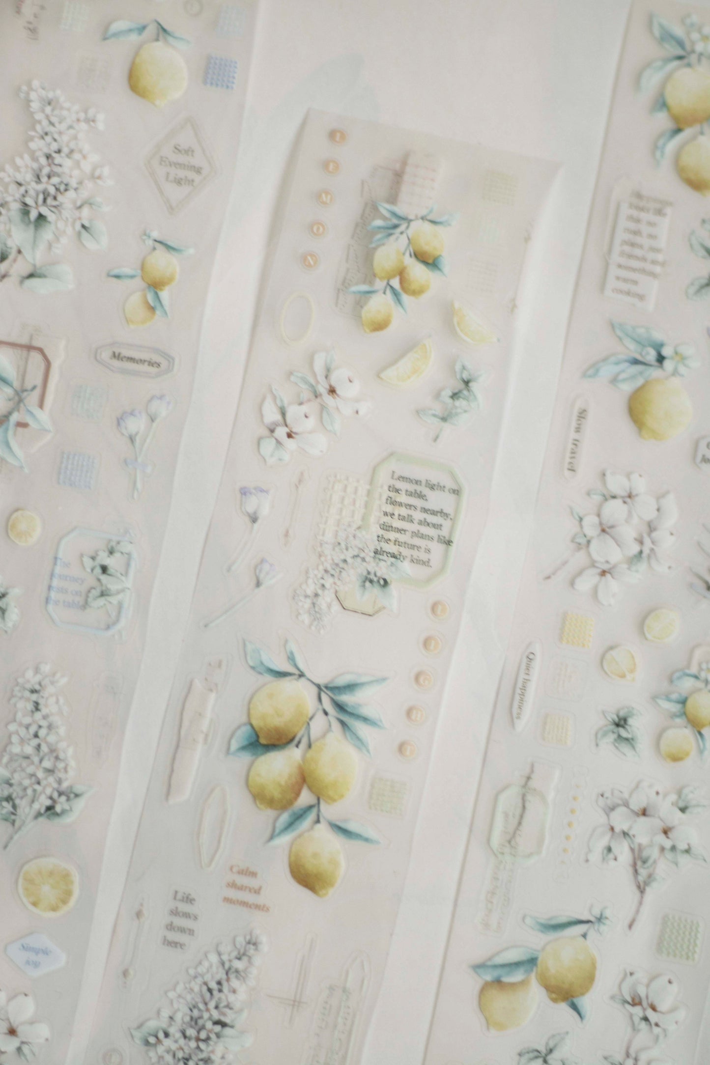 Die-cut Matte PET Tape | Journey in Golden Light (5cm)
