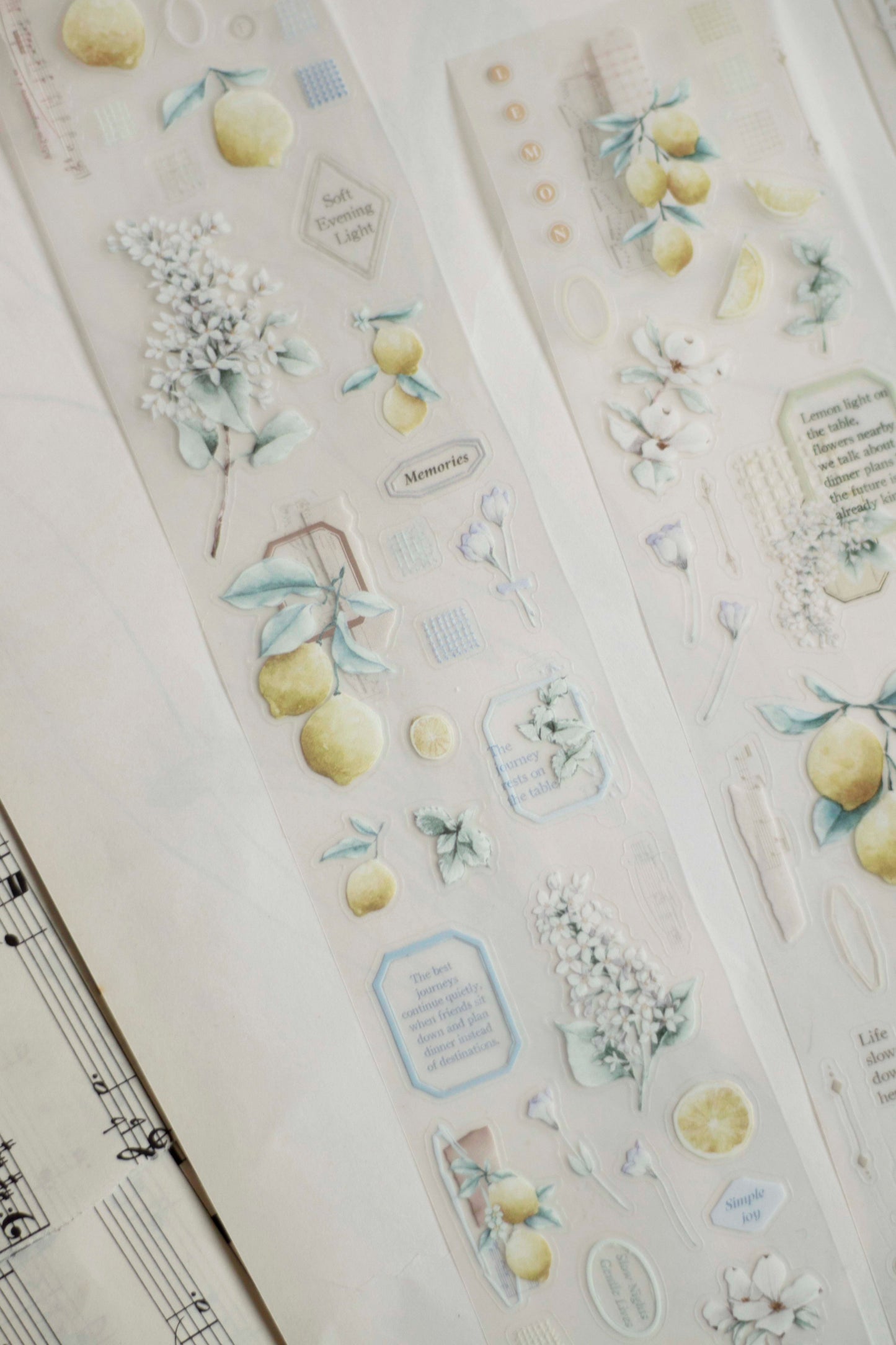 Die-cut Matte PET Tape | Journey in Golden Light (5cm)