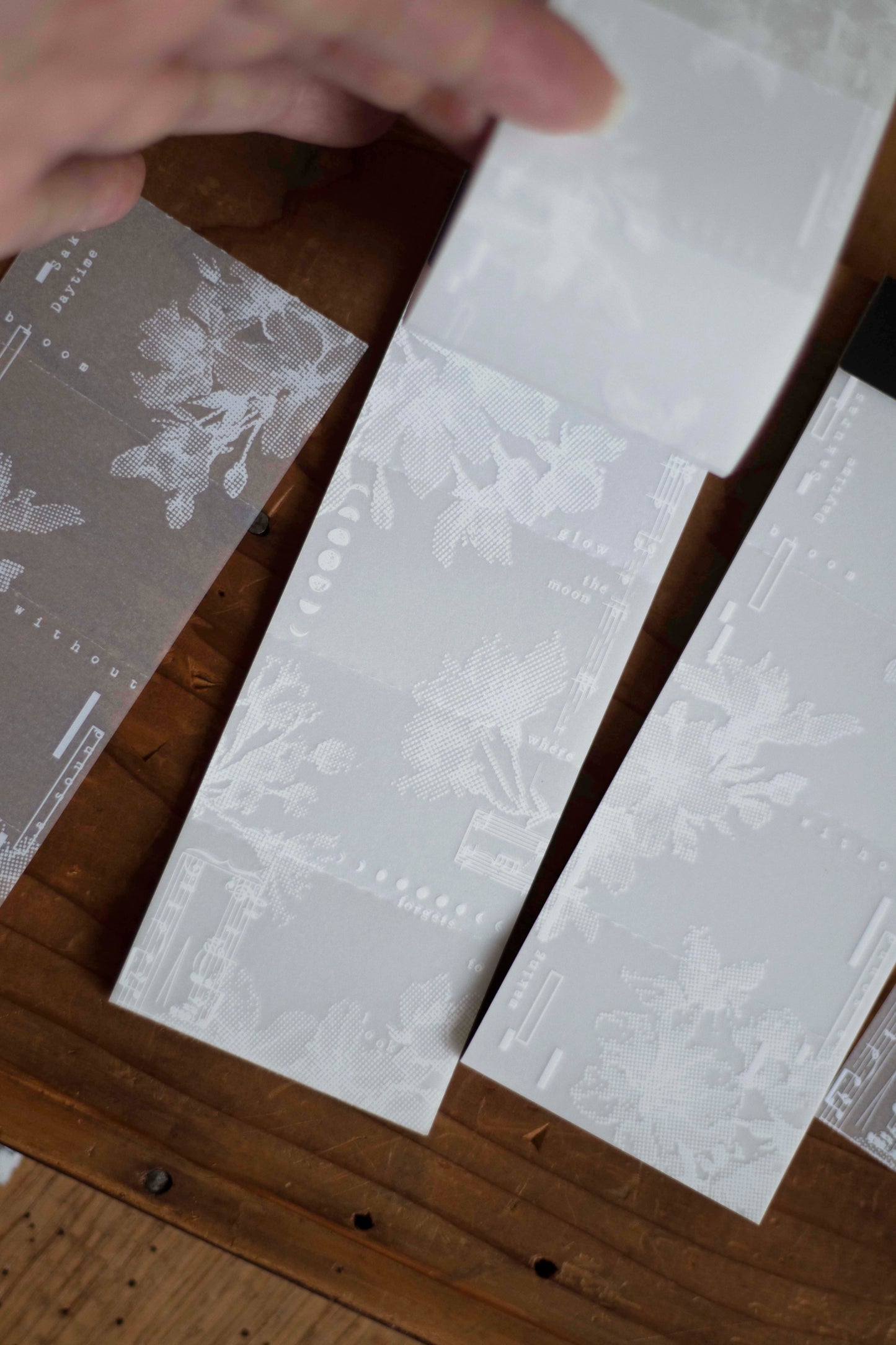 Tracing Paper Memo Pad | The Order of Bloom – Day & Night Cherry Blossoms