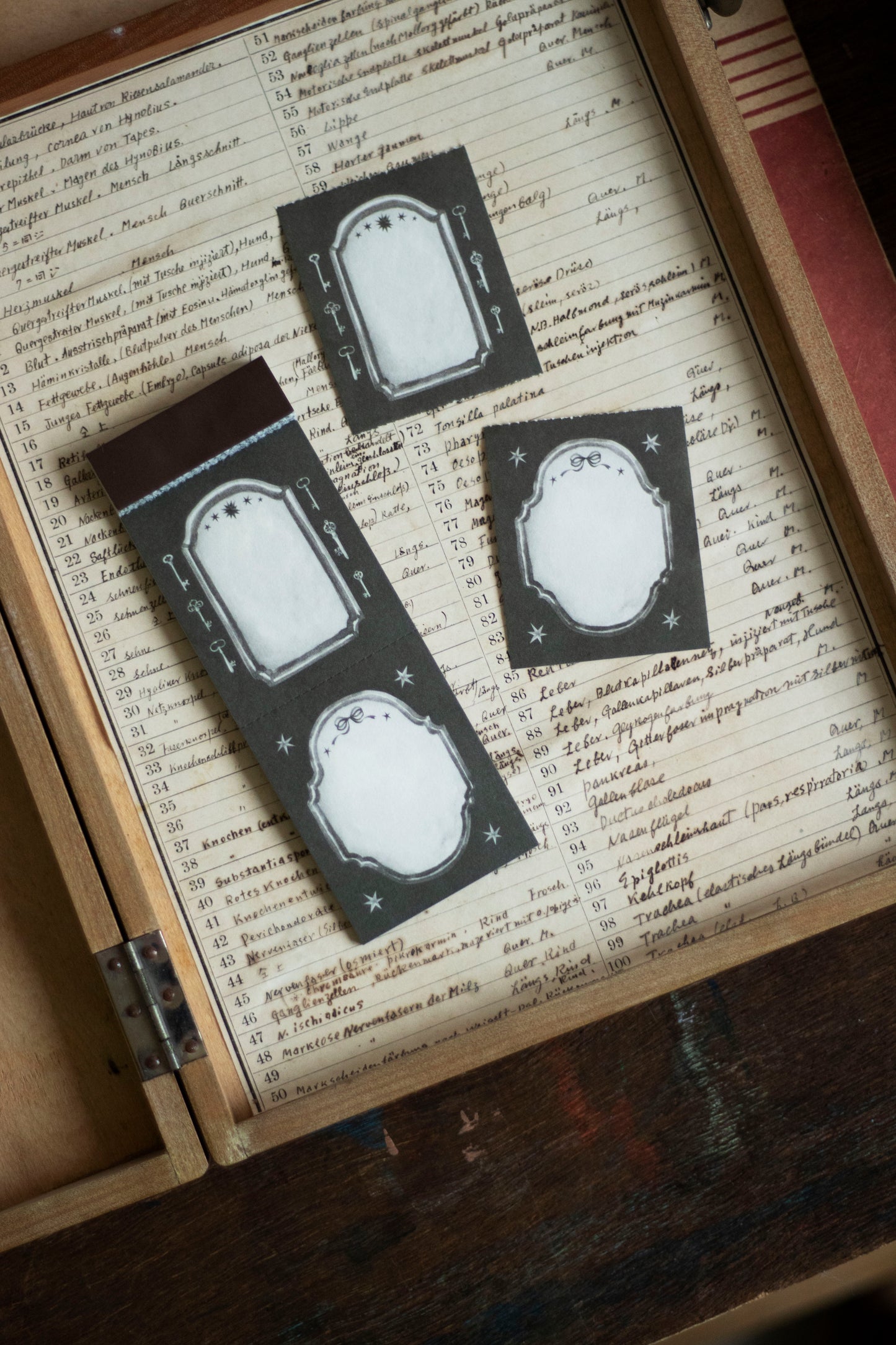 Loi Design Letter Pad | Witch's Inn