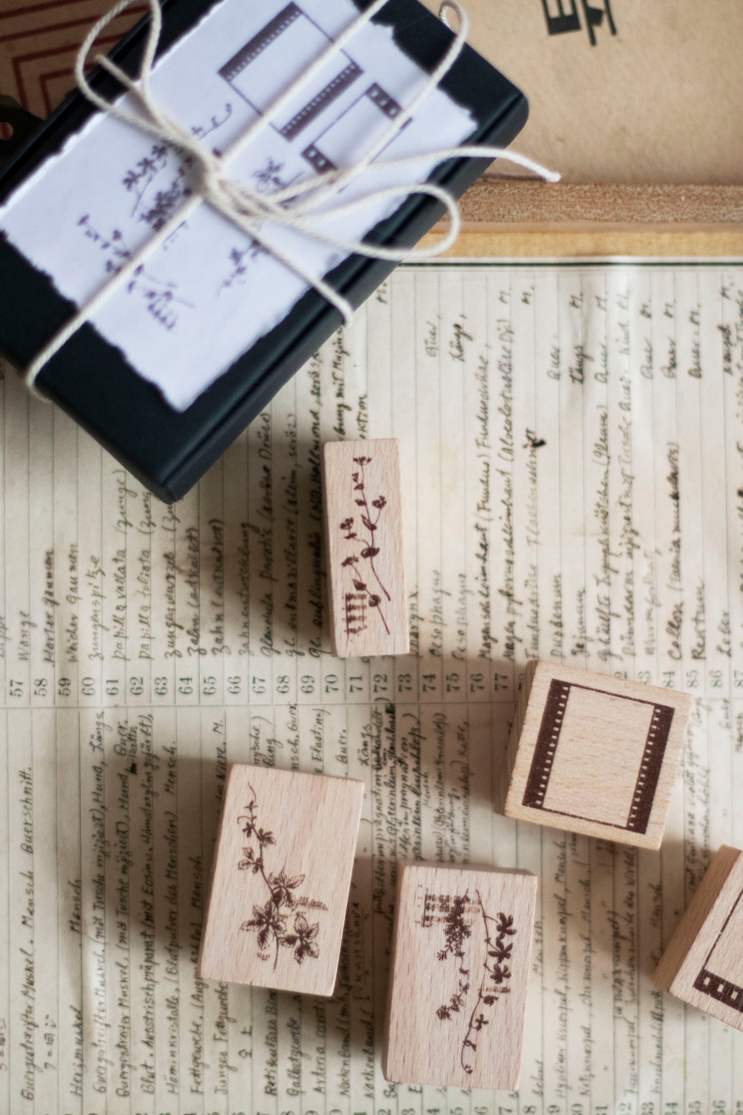 Loi Design Stamps | Life Collection (5 designs)