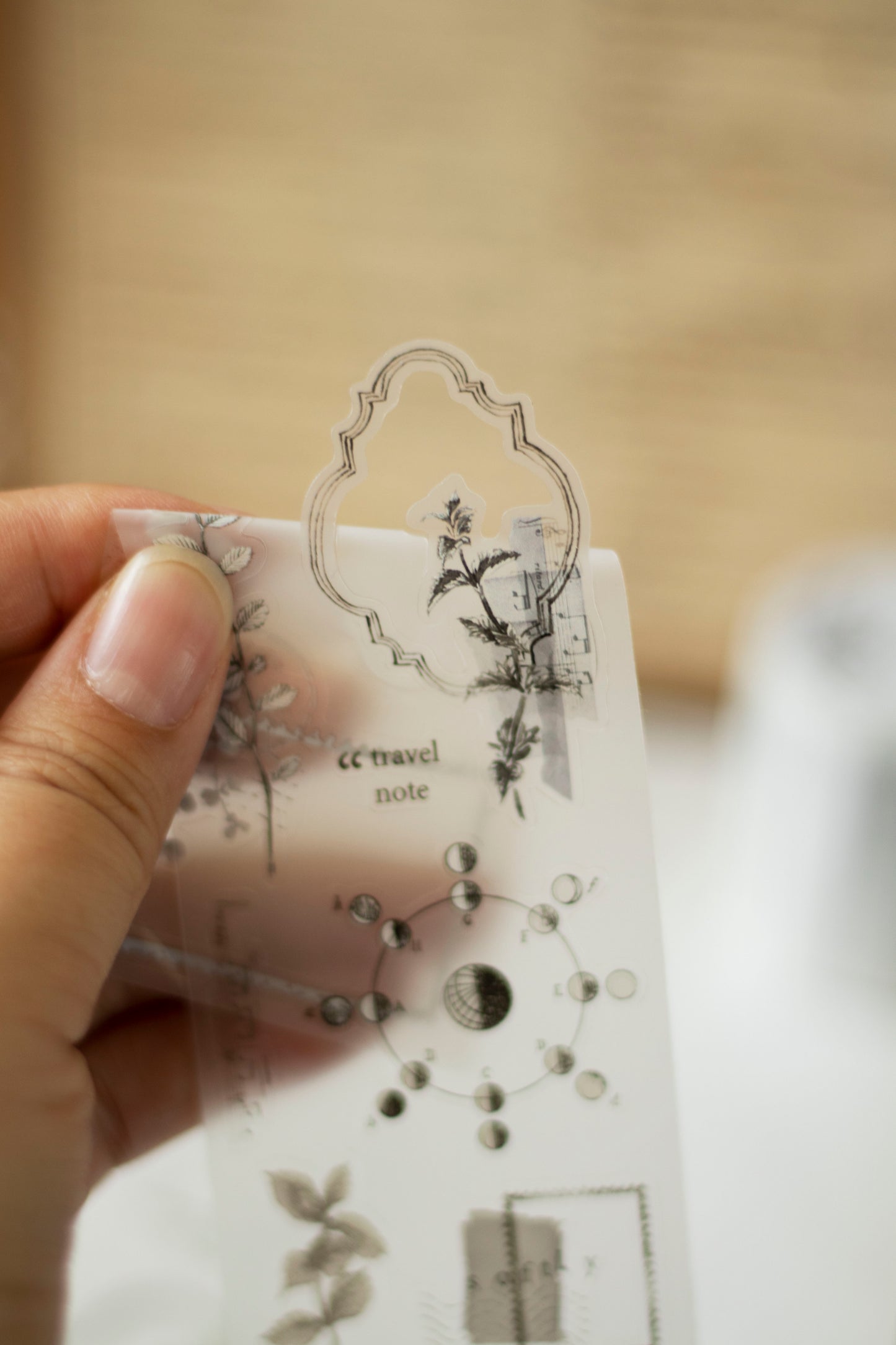 Loi Design Die-cut Matte PET Tape | Collected Moments (5cm)