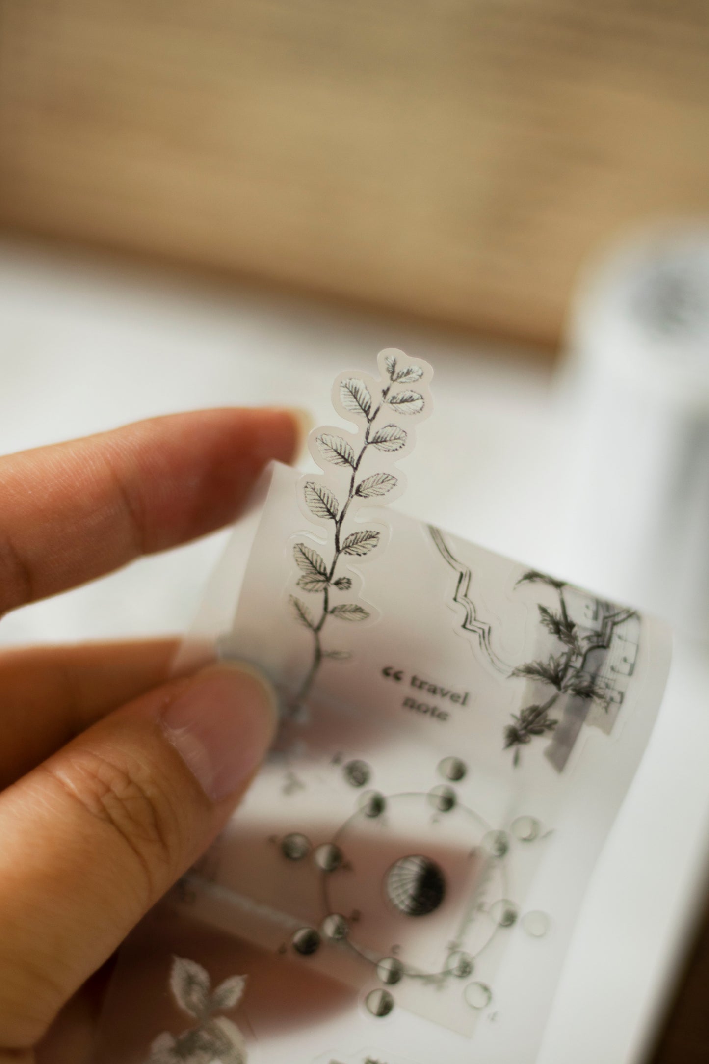 Loi Design Die-cut Matte PET Tape | Collected Moments (5cm)