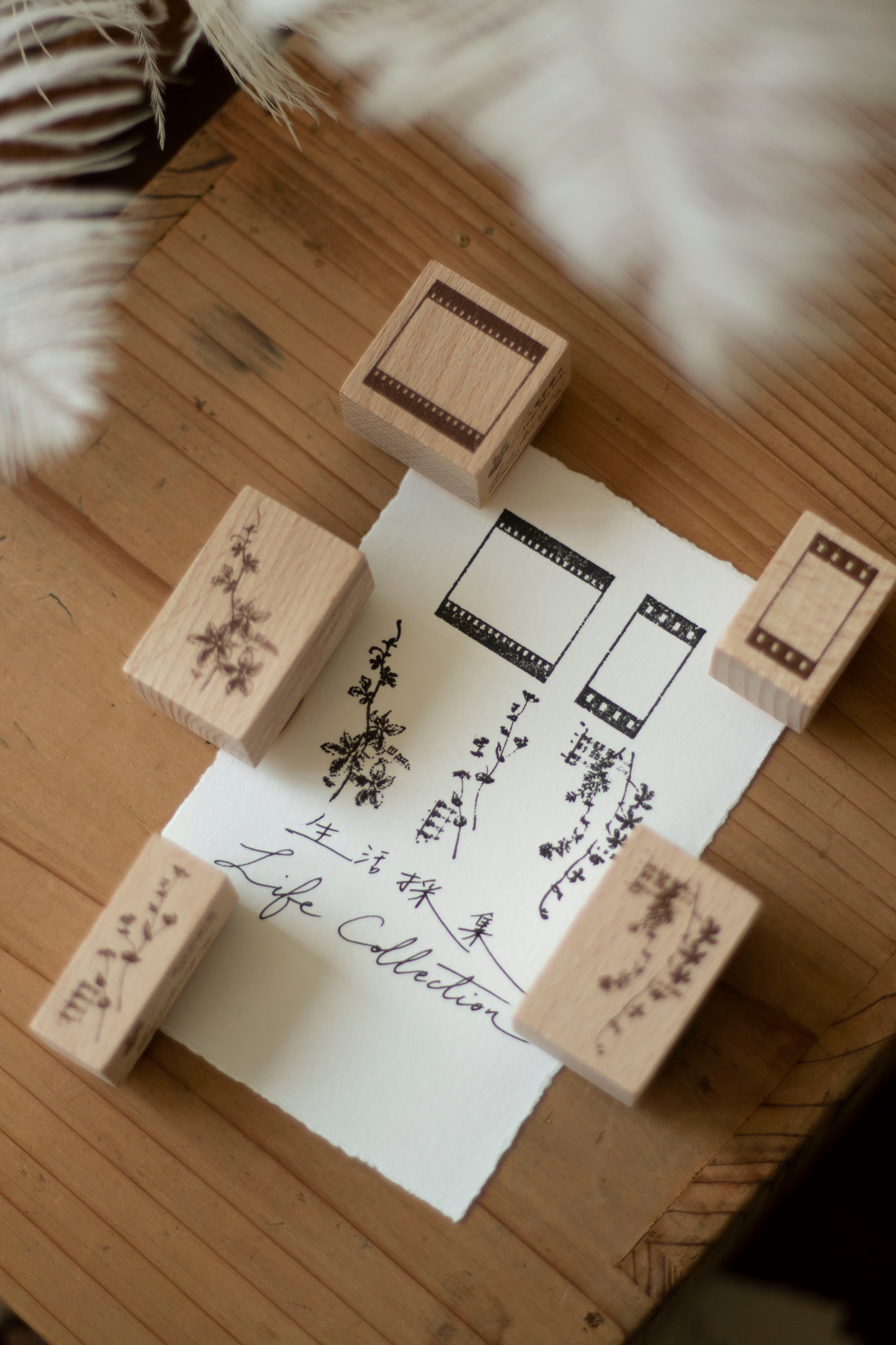 Loi Design Stamps | Life Collection (5 designs)