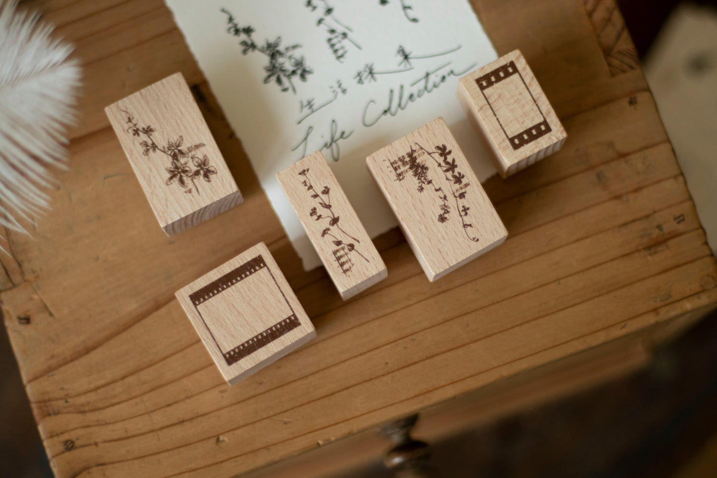Loi Design Stamps | Life Collection (5 designs)