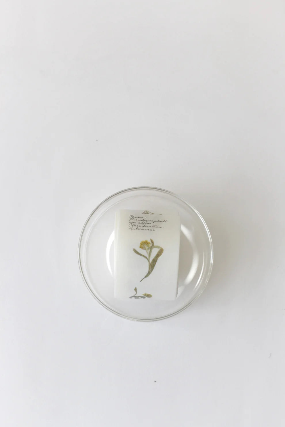 Washi Tape | Tape J - Herbarium